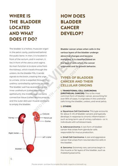 Sample page 4