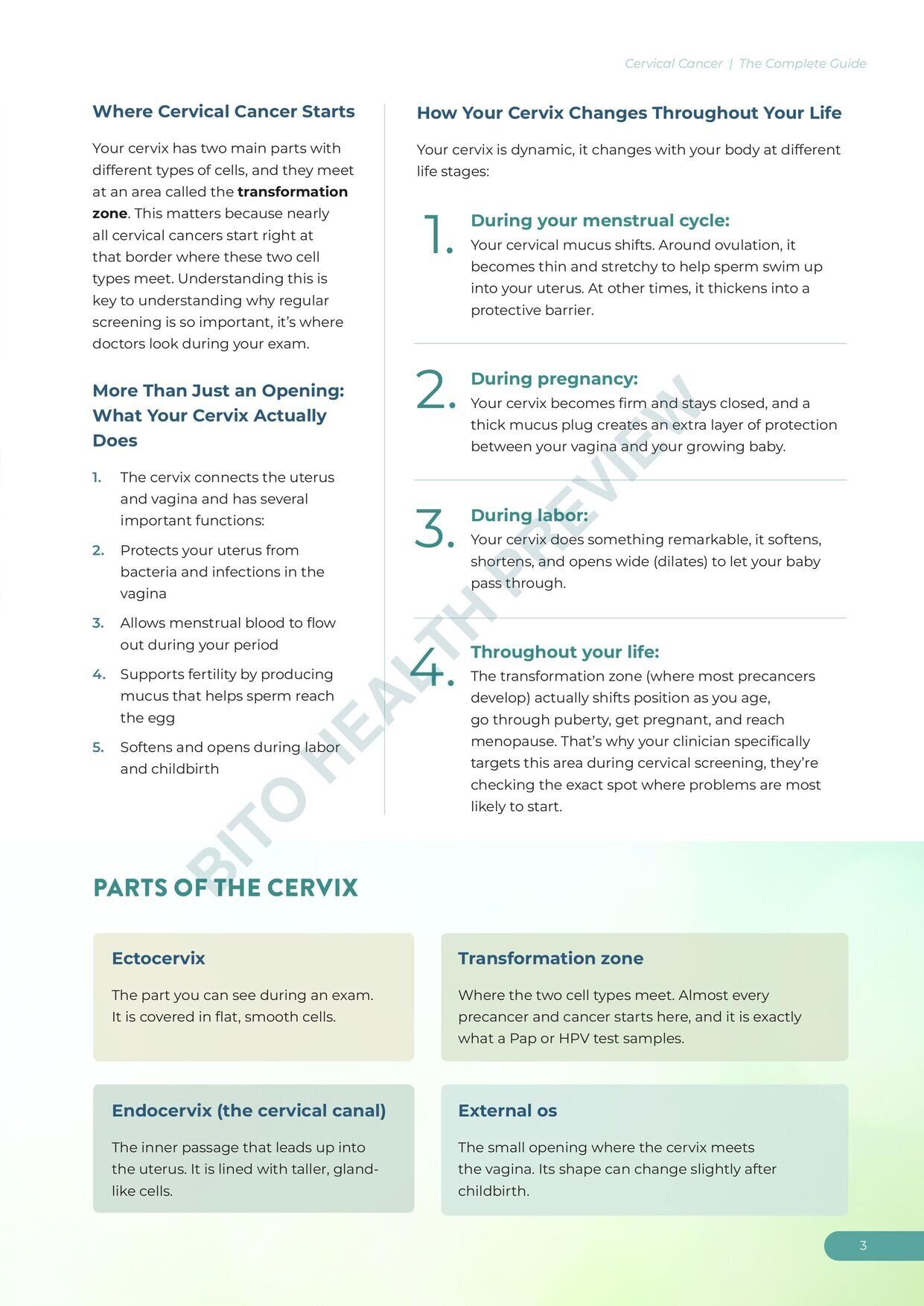 Sample page 7