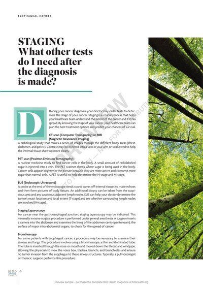 Sample page 5