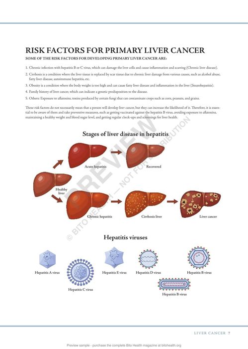 Sample page from the Liver Cancer guide