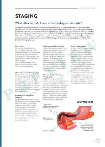 Sample page 6