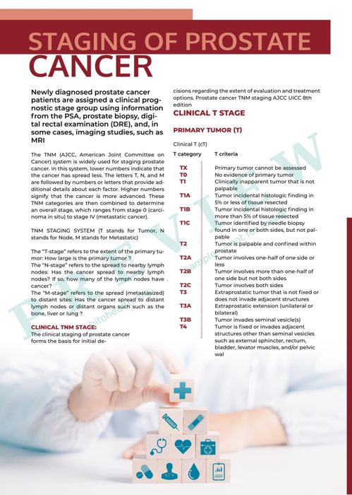 Sample page from the Prostate Cancer guide