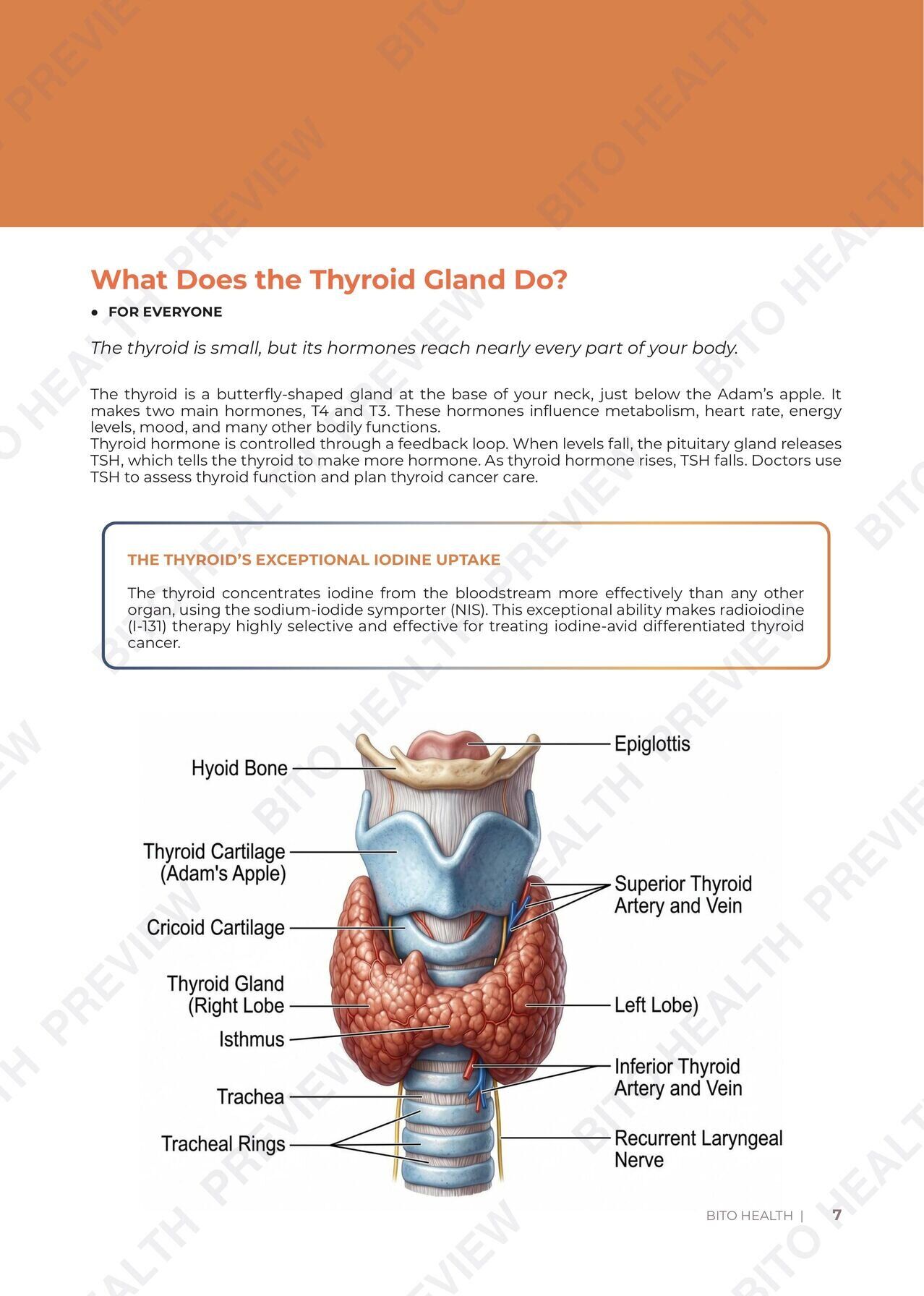 Sample page 5